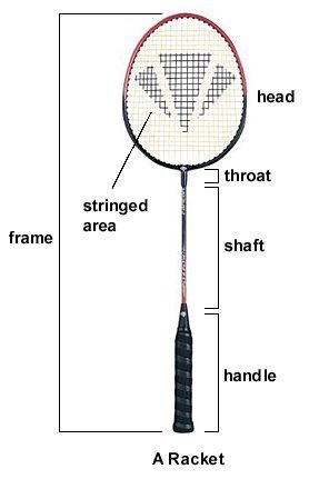 How to play badminton: rules, scoring system and equipment